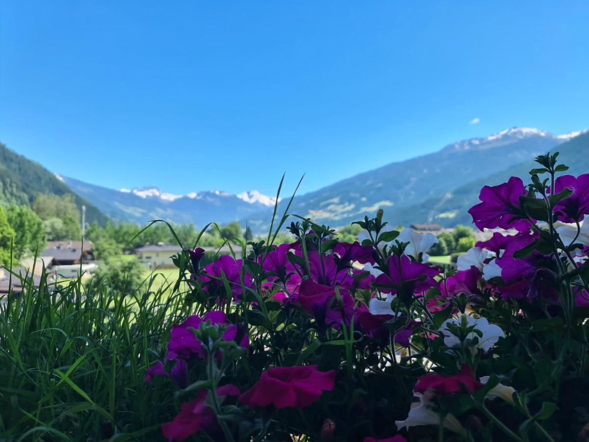 Hotel Alpenhof*** Kaltenbach Exteriör bild